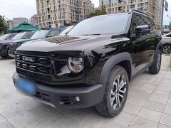 Great Wall Dachshund 1.5T DCT Border Collie Edition - ფოტო 1