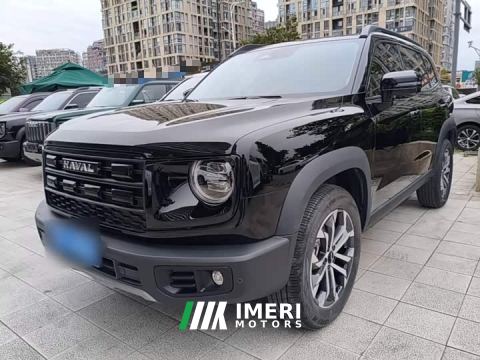 2025 Great Wall Dachshund 1.5T DCT Border Collie Edition - автомобиль из Китая