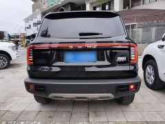 Great Wall Dachshund 1.5T DCT Border Collie Edition - ფოტო 5