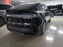 Tesla Model Y L Long Range All-Wheel Drive - фото 8