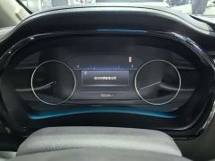 Buick GL8 Land Executive Cabin 652T Luxury - photo 10