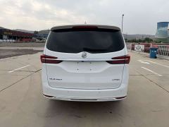 Buick GL8 Land Executive Cabin 652T Luxury - photo 5