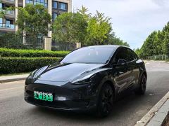 Tesla Model Y Rear-Wheel Drive - фото 1