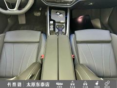 Volkswagen Passat Pro 380TSI Longyun Edition - photo 13