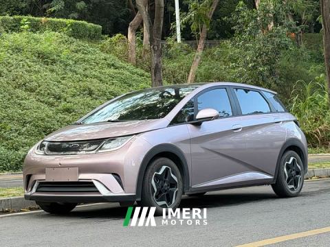 2022 BYD Dolphin 405km Fashion Edition - автомобиль из Китая