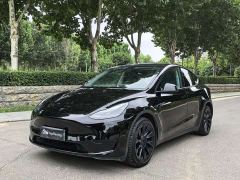 Tesla Model Y Rear-Wheel Drive - фото 1