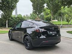 Tesla Model Y Rear-Wheel Drive - фото 9