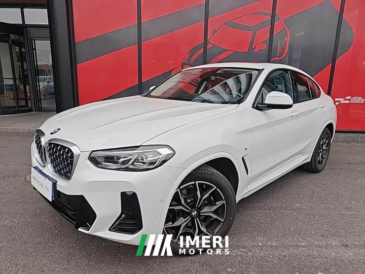 BMW X4 xDrive 25i M Sport Package - car from China