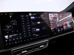 Li Auto L9 Max - ფოტო 8