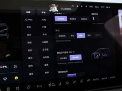 Li Auto L9 Max - ფოტო 9