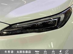 Buick GL8 New Energy Lusang Respect Edition - photo 11