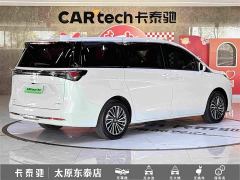 Buick GL8 New Energy Lusang Respect Edition - photo 4