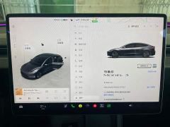 Tesla Model 3 Rear-Wheel Drive - ფოტო 13