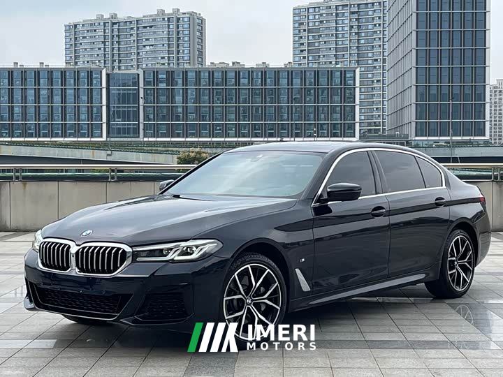 BMW 5 Series 530Li Luxury M Sport Package - car from China