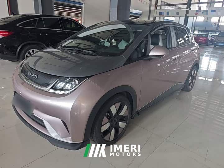BYD Dolphin 401km Knight Edition - ავტომობილი ჩინეთიდან