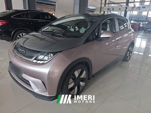 2023 BYD Dolphin 401km Knight Edition - ავტომობილი ჩინეთიდან
