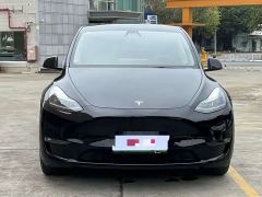Tesla Model Y Standard Range RWD - фото 1