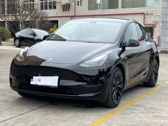 Tesla Model Y Standard Range RWD - фото 2