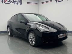 Tesla Model Y Rear-Wheel Drive - ფოტო 3