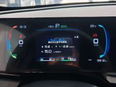 BYD Qin PLUS Glory Edition DM-i 55KM Leading - фото 14