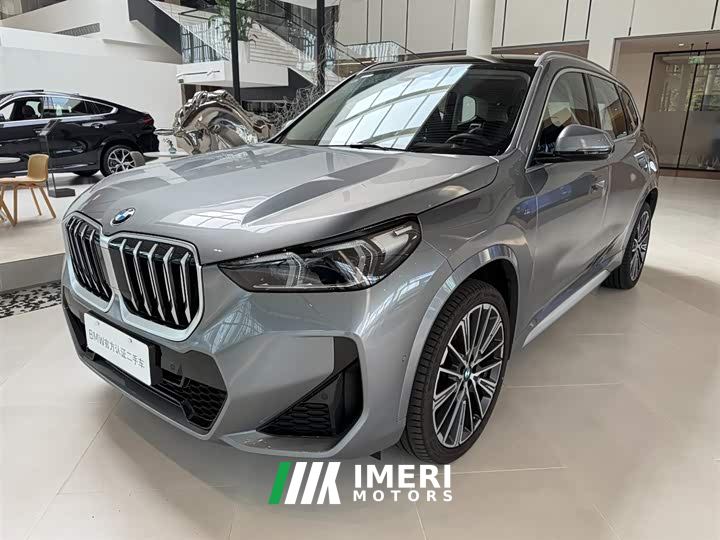 BMW X1 xDrive25Li M Sport Package - car from China
