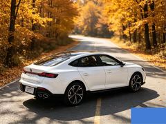 SAIC MG7 1.5T DCT Premium Luxury Edition - ფოტო 5