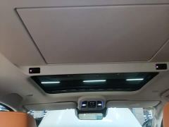Tank 500 New Energy Hi4-T Smart Comfort Edition - фото 17
