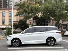 Wuling Kaijet 1.5T CVT Premier - ფოტო 8