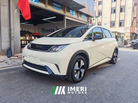 2023 BYD Dolphin 420km Fashion Edition - car from China
