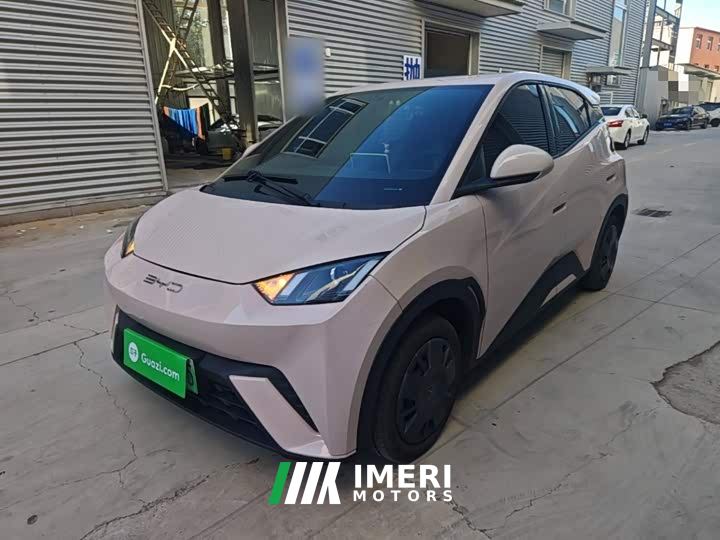 BYD Seagull Vitality Edition - ავტომობილი ჩინეთიდან