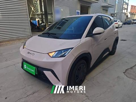 2023 BYD Seagull Vitality Edition - car from China