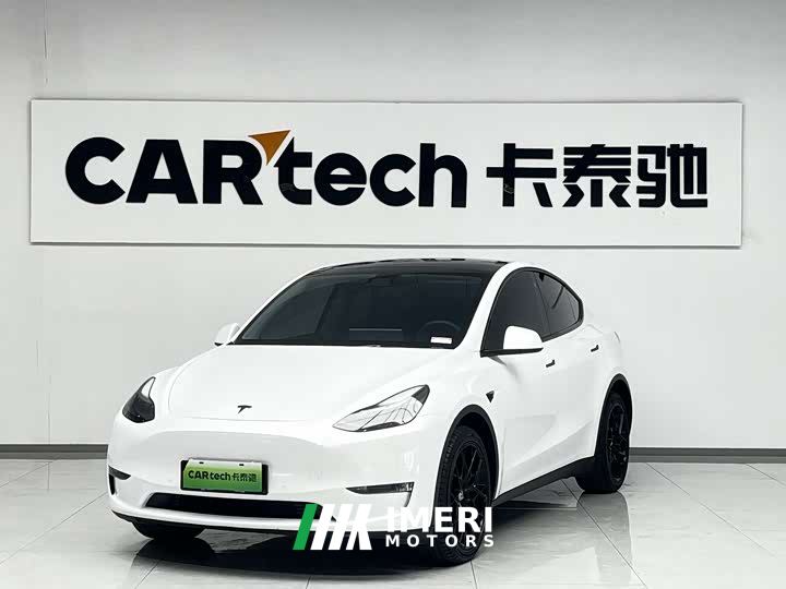 Tesla Model Y Long Range All-Wheel Drive - car from China