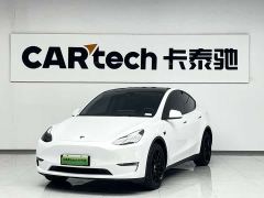 Tesla Model Y Long Range All-Wheel Drive - photo 1