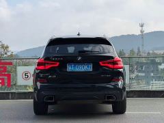 BMW X3 xDrive25i M Sport Package - photo 8