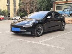 Tesla Model 3 Standard Range RWD Upgrade - фото 1