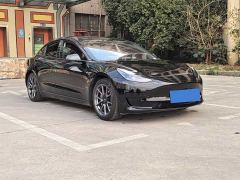 Tesla Model 3 Standard Range RWD Upgrade - фото 3