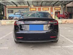 Tesla Model 3 Standard Range RWD Upgrade - фото 8