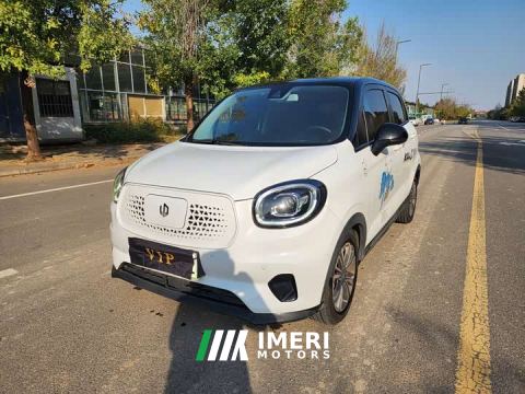2021 Leapmotor Leapo T03 400 Luxury Pro
