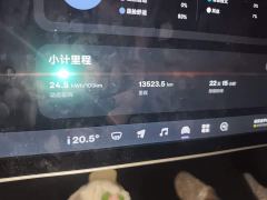 Nio Firefly Luminous Edition - ფოტო 8