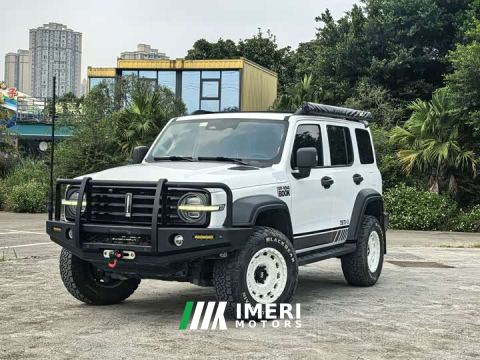 2021 Tank 300 Off-Road Edition 2.0T Conqueror