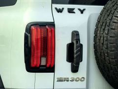 Tank 300 Off-Road Edition 2.0T Conqueror - ფოტო 11