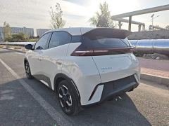 BYD Seagull Freedom Edition - ფოტო 4