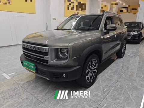 2024 Great Wall Dachshund 1.5T DCT Border Collie Edition - автомобиль из Китая