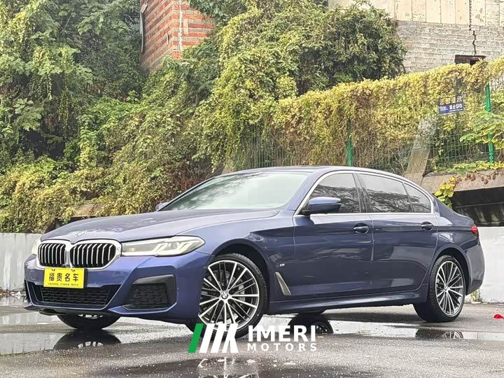 BMW 5 Series 530Li Premier M Sport Package - car from China
