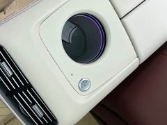 Mercedes-Benz Maybach GLS 480 4MATIC - photo 17
