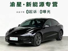 Tesla Model 3 Facelift Standard Range RWD Upgrade 3D1 - ფოტო 1