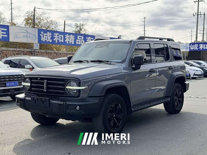 Tank 300 Off-Road Edition 2.0T Challenger - car from China
