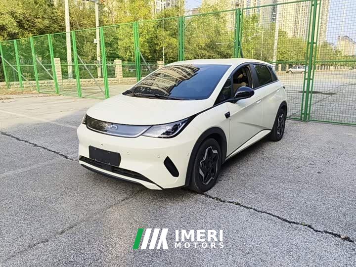 BYD Dolphin Smart Drive 420km Freedom Edition - car from China