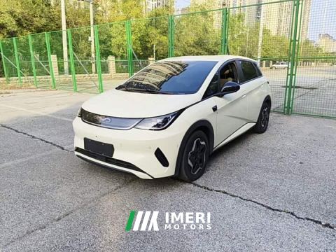 2025 BYD Dolphin Smart Drive 420km Freedom Edition