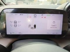 BYD Dolphin Smart Drive 420km Freedom Edition - photo 11